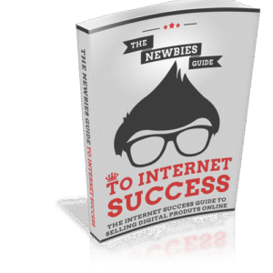 THE NEWBIES GUIDE TO INTERNET SUCCESS