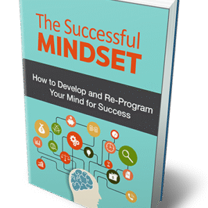 THE SUCCESSFUL MINDSET