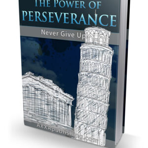 THE POWER OF PERSEVERANCE